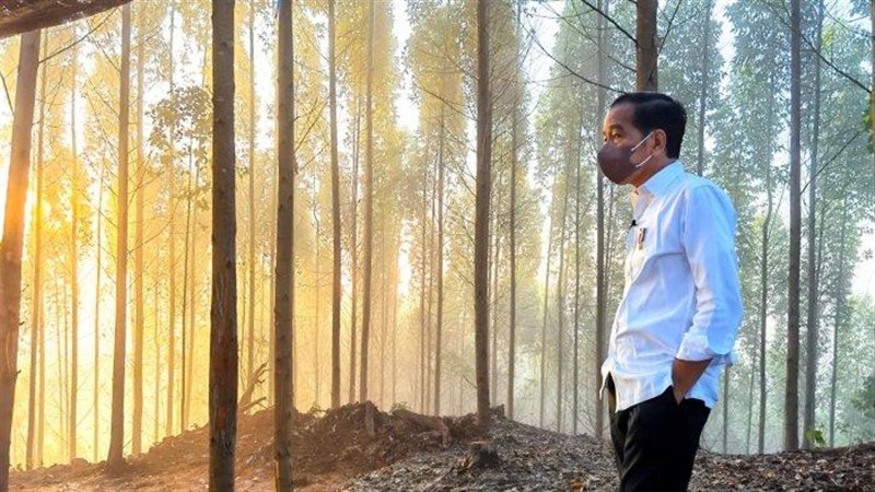 Read more about the article Perludem Ingatkan Jokowi soal Masa Jabatan Presiden, Jangan Sampai Nasib Soeharto Terulang